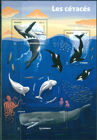 Франция, 2026, Киты и Дельфины, блок